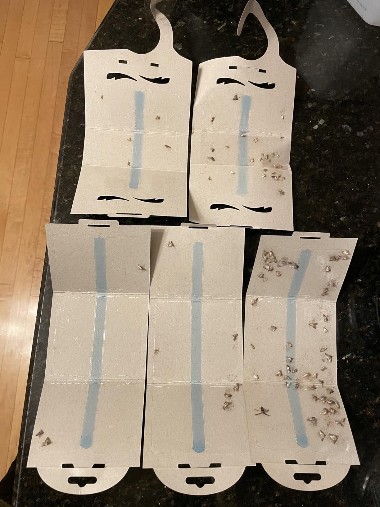 What moth pheromone sticky traps actually do