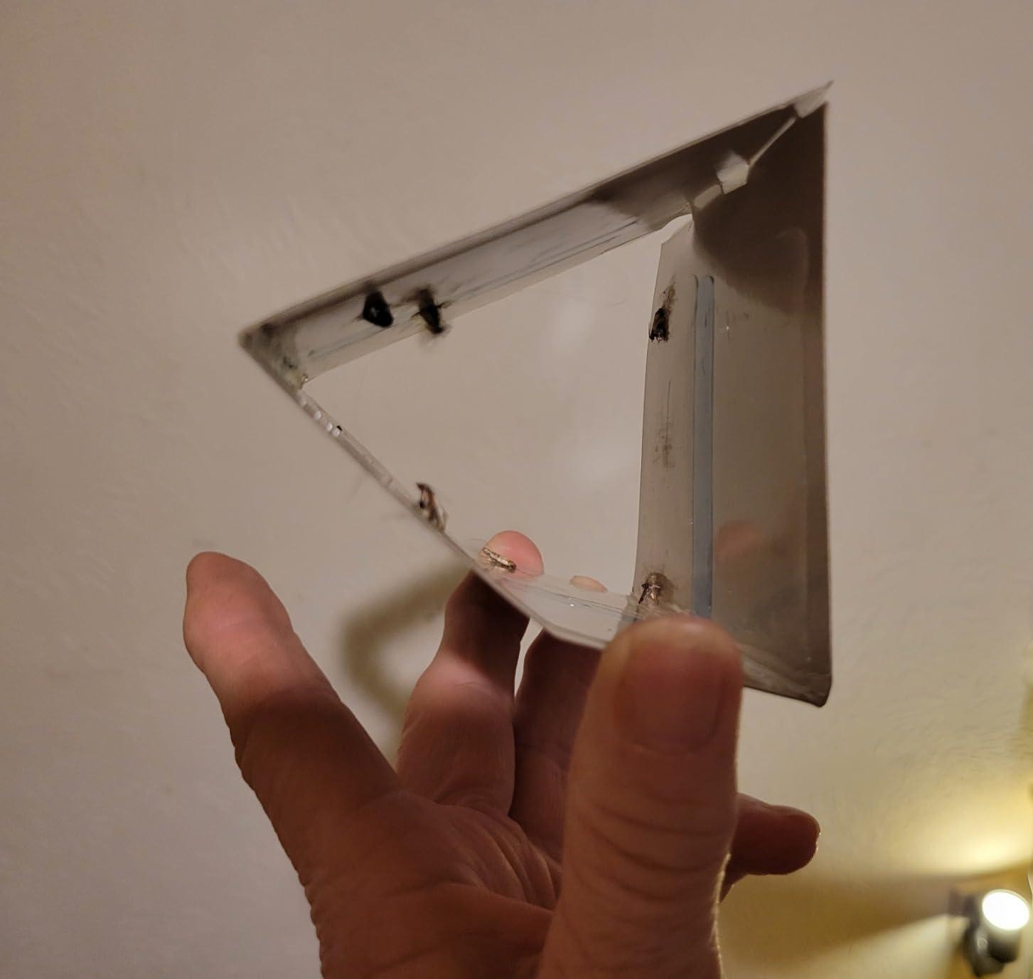 What's Actually Inside Clothes Moth Pheromone Traps